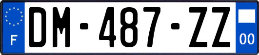 DM-487-ZZ