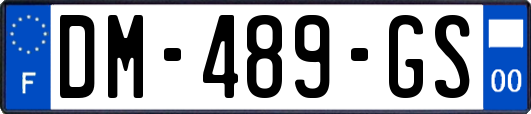 DM-489-GS