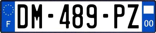 DM-489-PZ