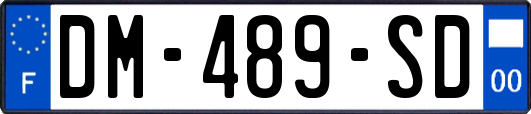 DM-489-SD