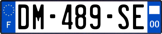 DM-489-SE