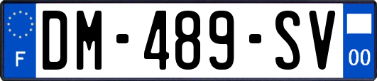 DM-489-SV