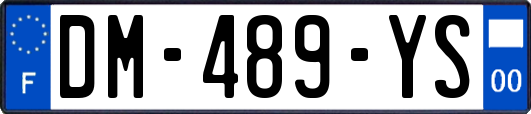 DM-489-YS