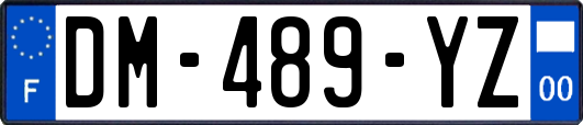 DM-489-YZ