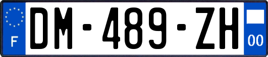 DM-489-ZH