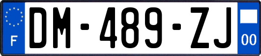 DM-489-ZJ