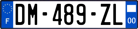 DM-489-ZL