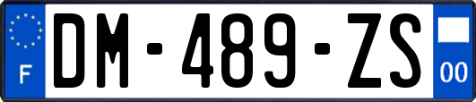 DM-489-ZS