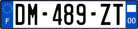 DM-489-ZT