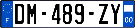 DM-489-ZY