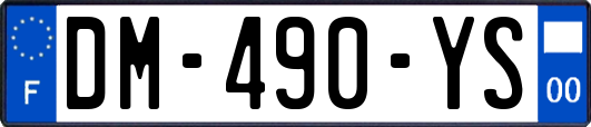 DM-490-YS