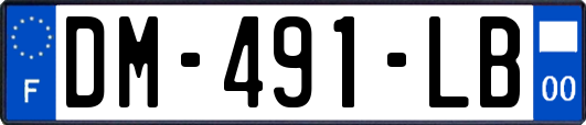 DM-491-LB