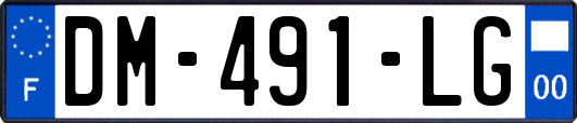 DM-491-LG