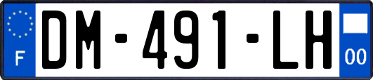 DM-491-LH