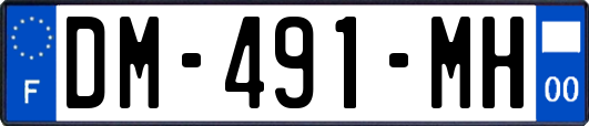 DM-491-MH