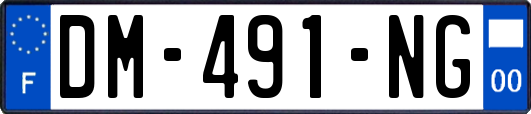 DM-491-NG