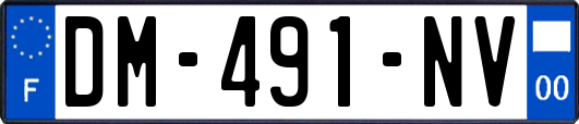DM-491-NV