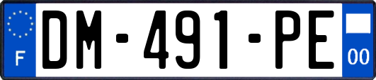 DM-491-PE
