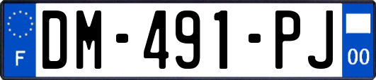 DM-491-PJ