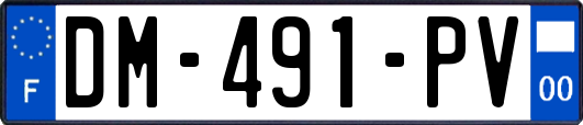 DM-491-PV