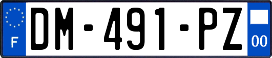DM-491-PZ