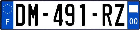 DM-491-RZ