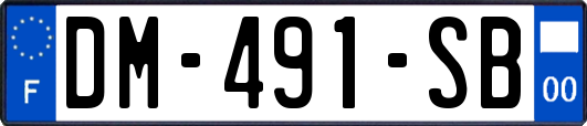 DM-491-SB