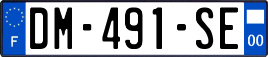 DM-491-SE