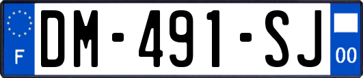 DM-491-SJ