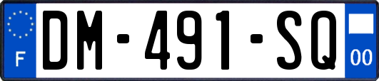 DM-491-SQ