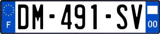 DM-491-SV