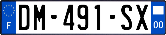 DM-491-SX