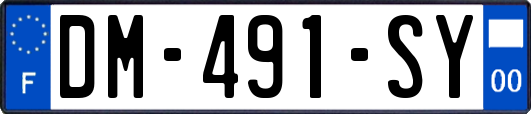 DM-491-SY