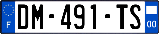 DM-491-TS