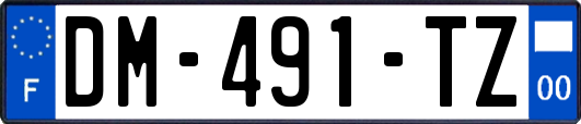DM-491-TZ