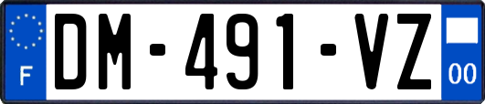 DM-491-VZ