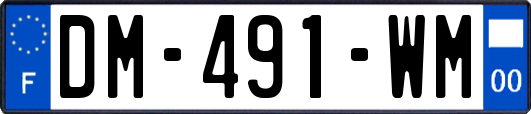 DM-491-WM