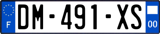 DM-491-XS