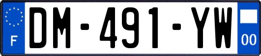 DM-491-YW