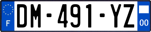 DM-491-YZ