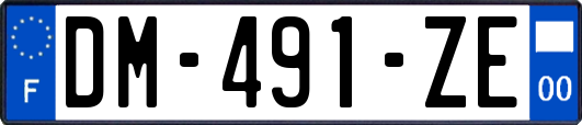 DM-491-ZE