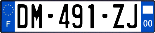 DM-491-ZJ