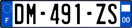 DM-491-ZS