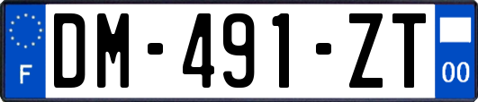 DM-491-ZT