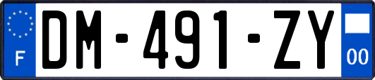 DM-491-ZY