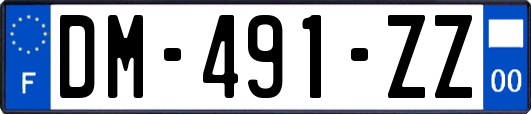 DM-491-ZZ