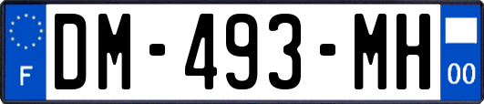 DM-493-MH