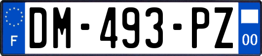 DM-493-PZ