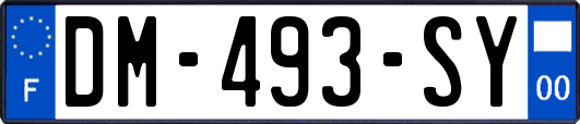 DM-493-SY