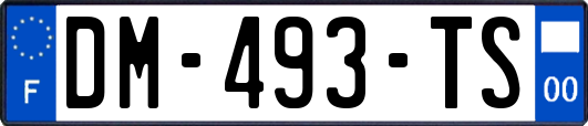 DM-493-TS